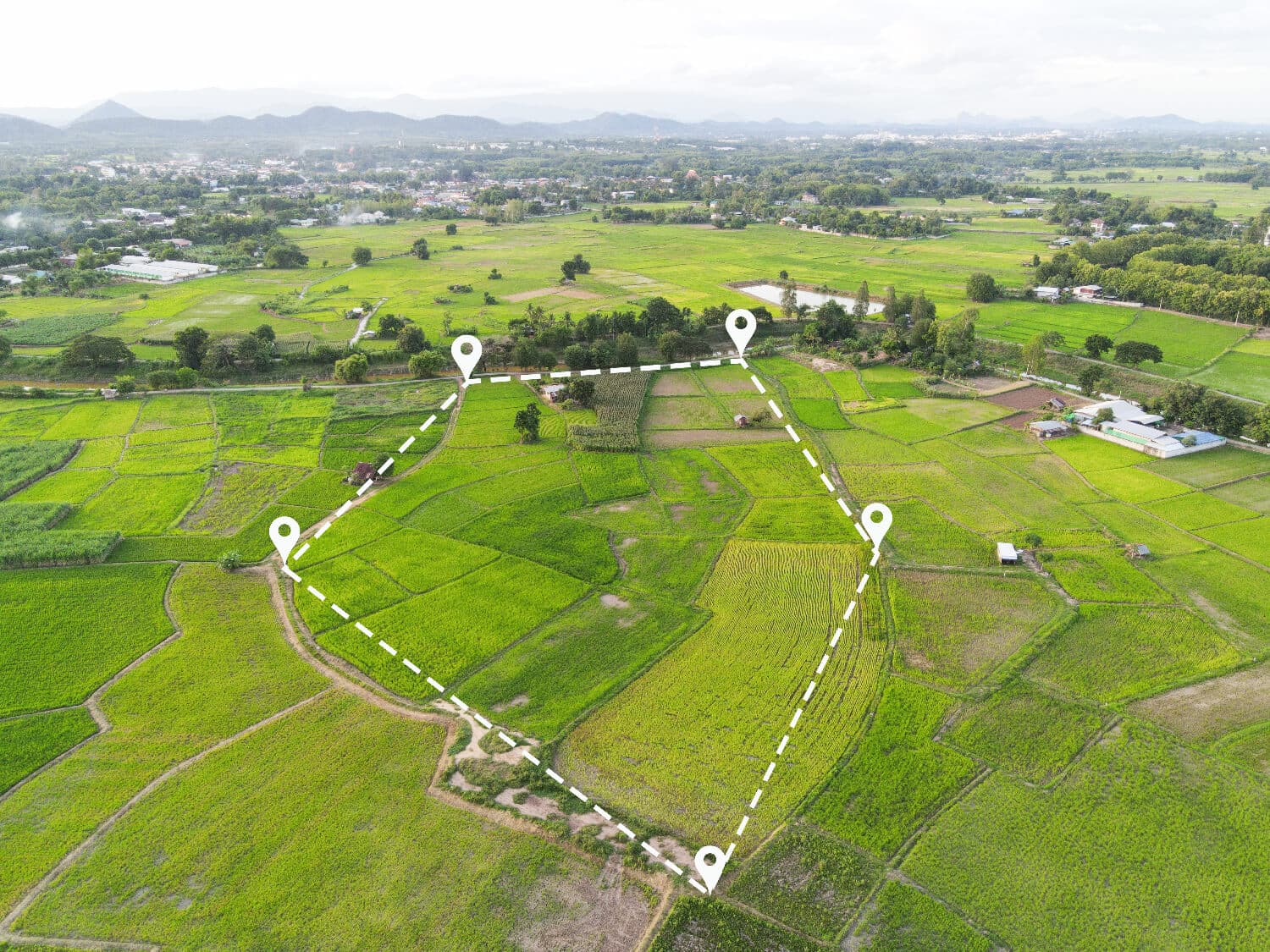Premium Open Plot in Vijayawada